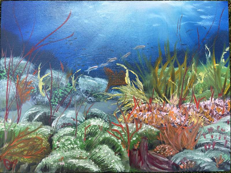 Coral reef